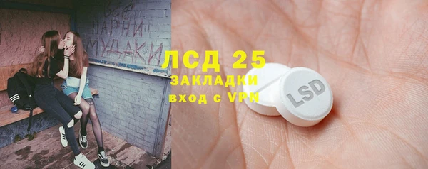 индика Абинск
