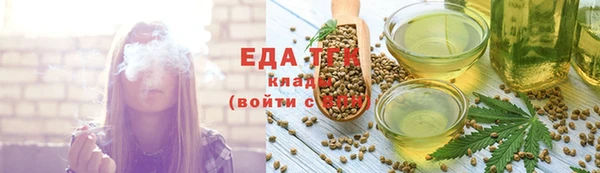 индика Абинск