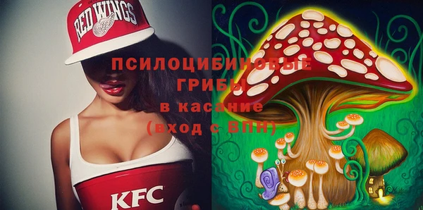 соль ск Абаза