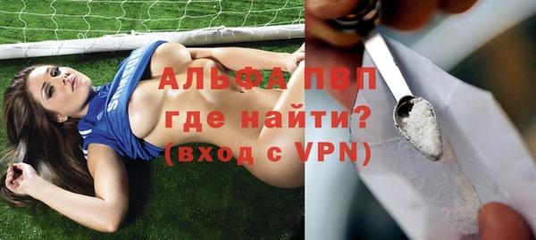 индика Абинск