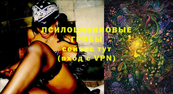 индика Абинск