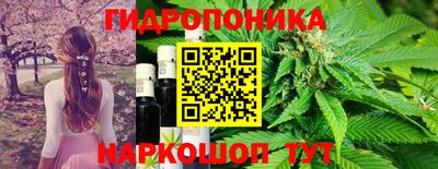 крисы Кунгур