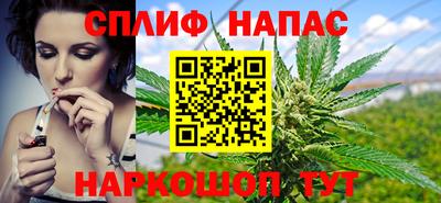крисы Кунгур