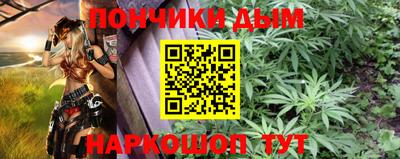 крисы Кунгур
