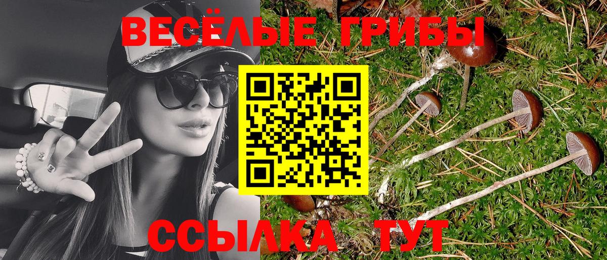 Галлюциногенные грибы Psilocybine cubensis  Вход с VPN  Псилоцибиновые грибы мицелий  Ханты-Мансийск 